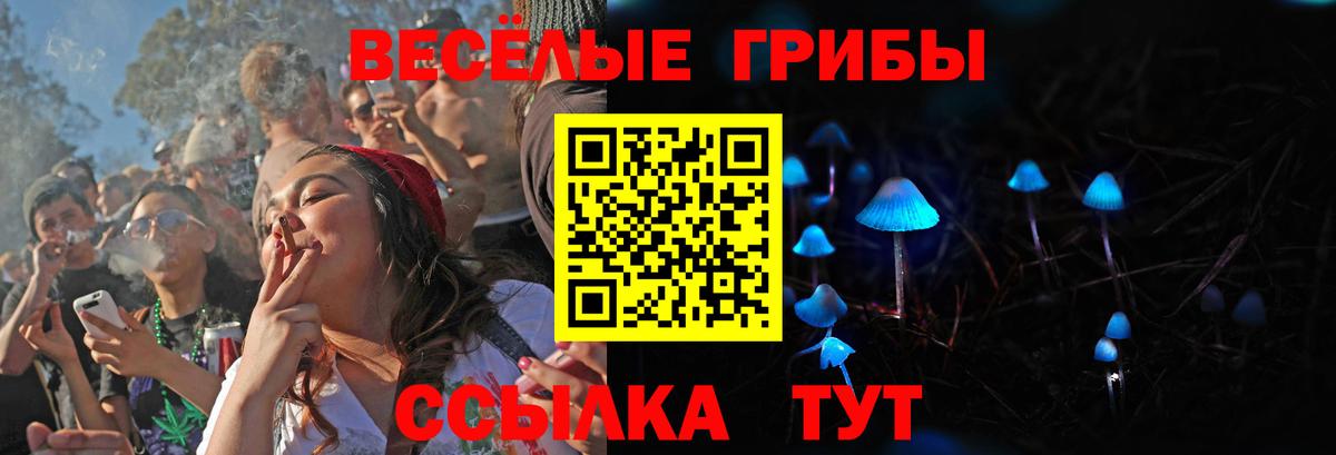 как найти наркотики  Вход с VPN  Мелеуз  Псилоцибиновые грибы Psilocybine cubensis 